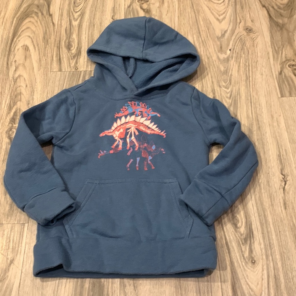 3/$6 Dinosaur hoodie